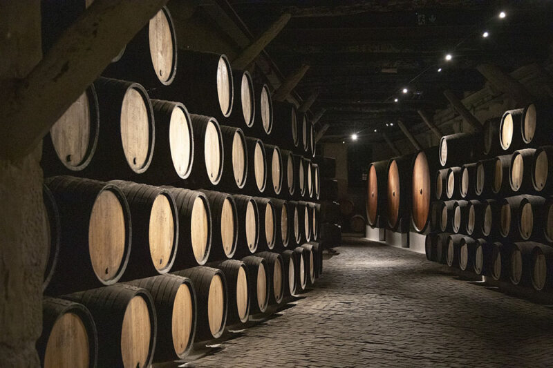 Cantine aperte 2023 torna in tutta Italia