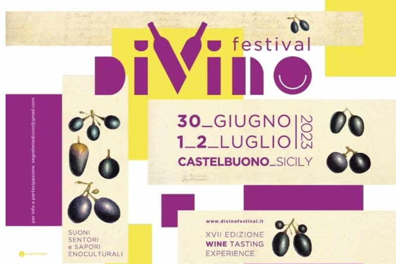 DiVino Festival: esperienza enogastronomica indimenticabile
