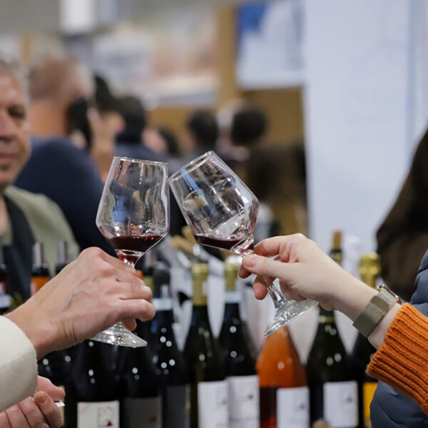 Trevino, il mercato dei vini, conquista Treviglio