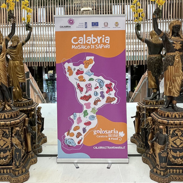 Calabria Mosaico di Sapori: vini e sapori unici