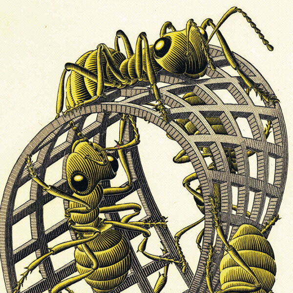 Escher a Conversano: un viaggio tra arte e matematica