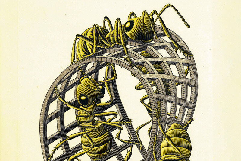 Escher a Conversano: un viaggio tra arte e matematica