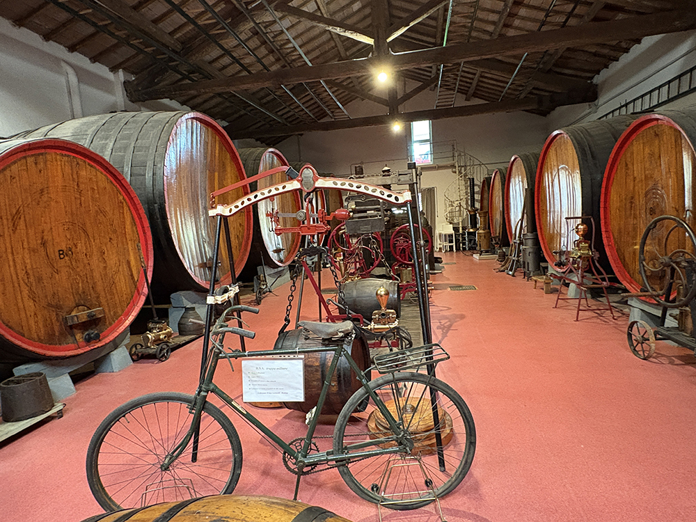 Museo e Cantina Giacobazzi