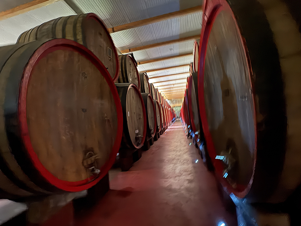 Museo e Cantina Giacobazzi