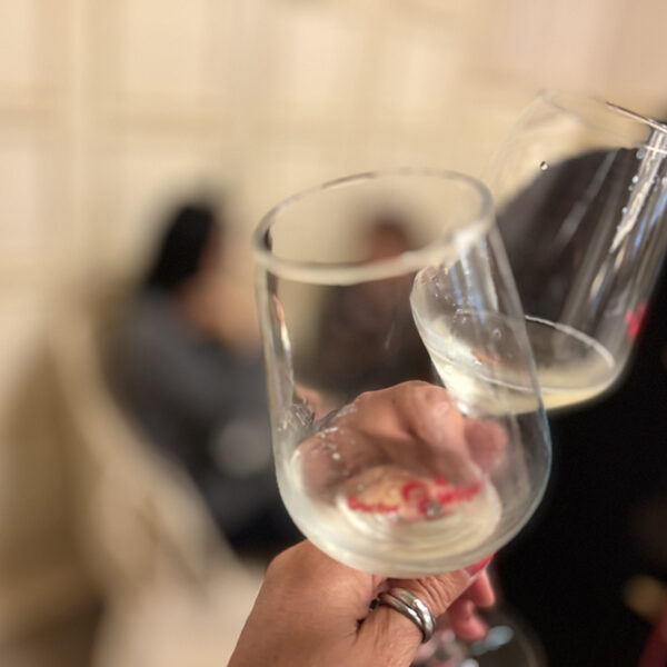 DoctorWine presenta la Guida Essenziale ai Vini d’Italia 2026