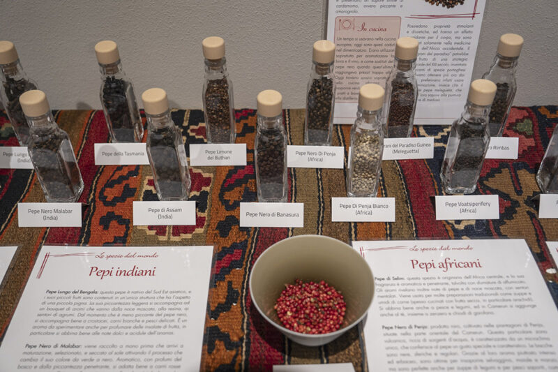 Baccanale 2025: Imola profuma di spezie, suona di motori