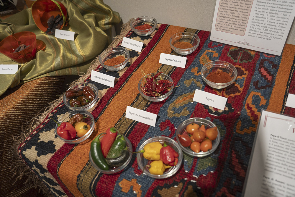 Il Baccanale 2025 a Imola